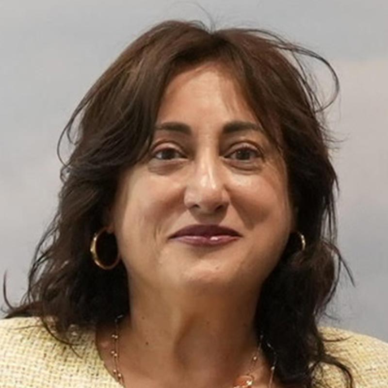   Silvia Liberata Ullo