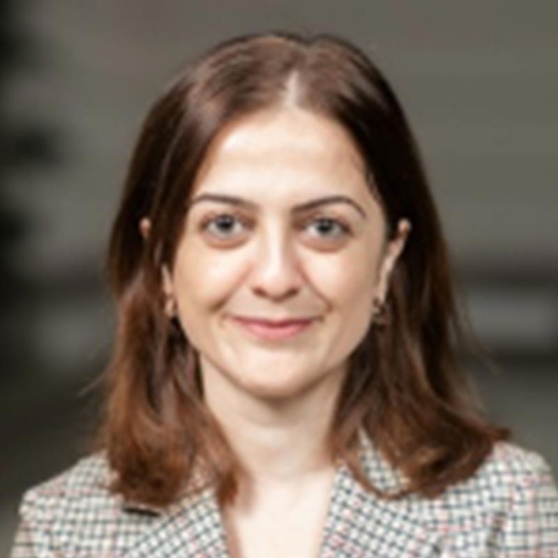   Begüm Demir - BIFOLD and TU Berlin